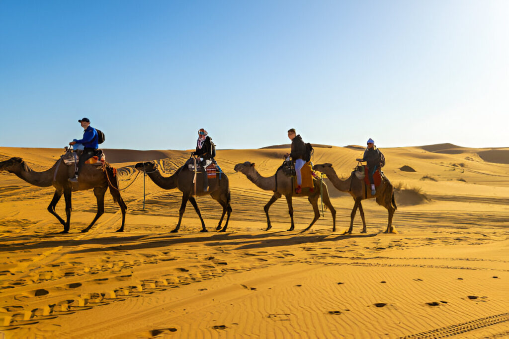 7-Day Tour from Marrakech to casablanca