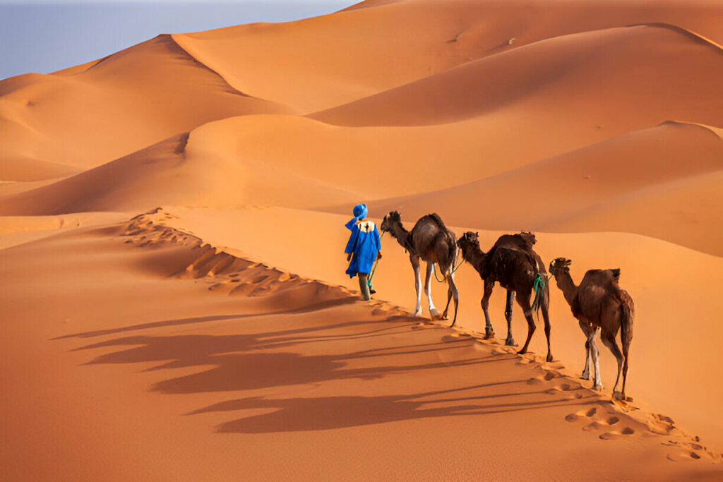 beyond travel