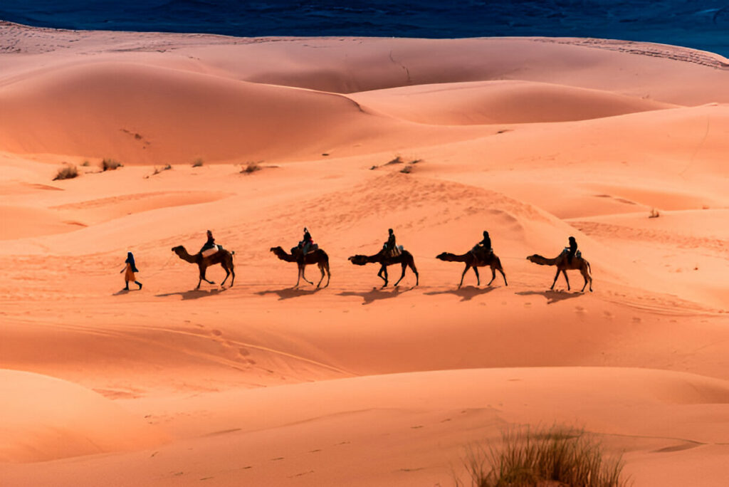 sahara desert tour