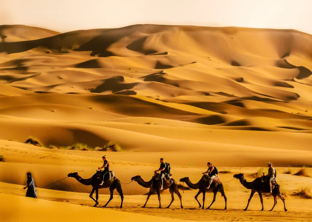 Tour nel deserto di 12 giorni da Tangeri a casablanca